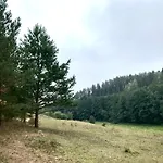 Na Skraju Gaju *