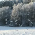 Na Skraju Gaju Дом отдыха *