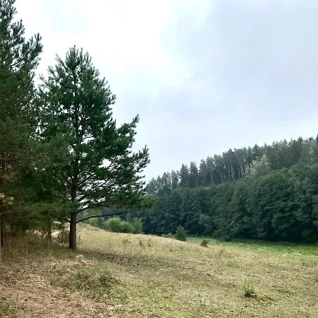 Na Skraju Gaju *