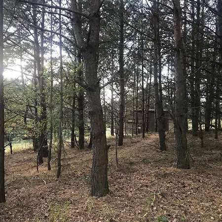 بيت للعطل Na Skraju Gaju Purda