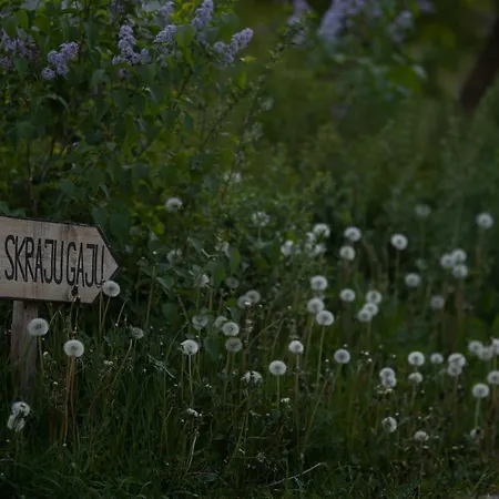 Na Skraju Gaju Purda