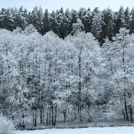 بيت للعطل Na Skraju Gaju