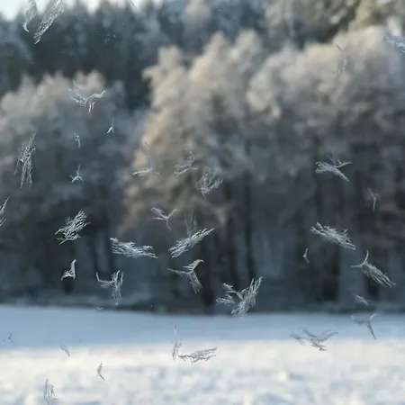 Na Skraju Gaju Ferienhaus *