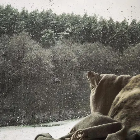 Na Skraju Gaju Purda