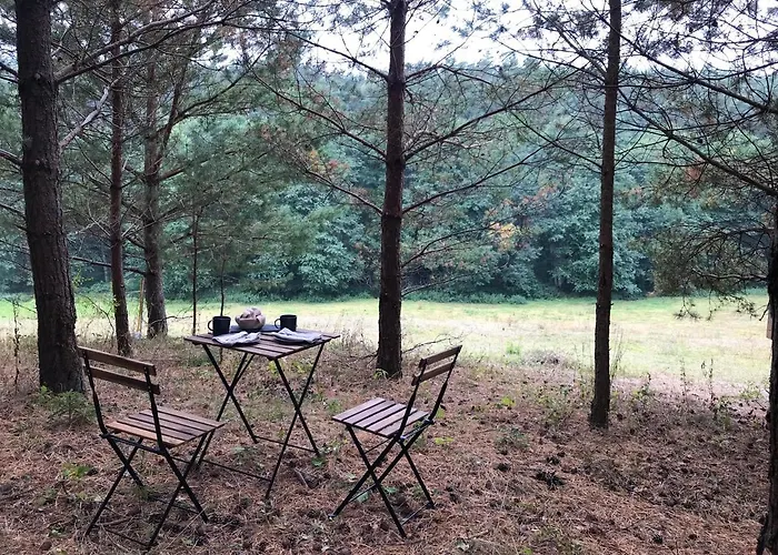 Dom wakacyjny Na Skraju Gaju