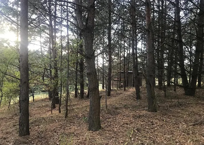 Dom wakacyjny Na Skraju Gaju Purda