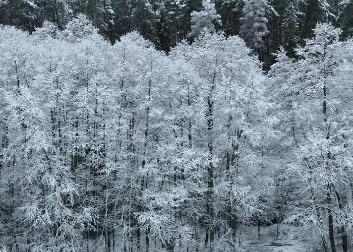 Dom wakacyjny Na Skraju Gaju