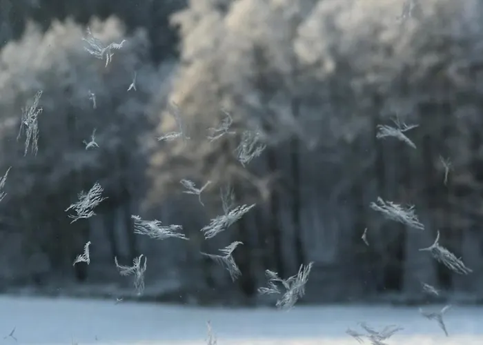 Na Skraju Gaju Dom wakacyjny *