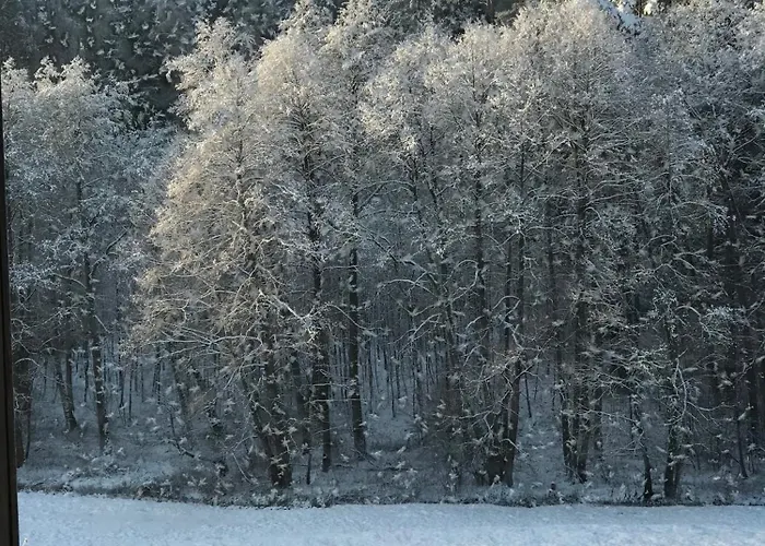 Dom wakacyjny Na Skraju Gaju Purda